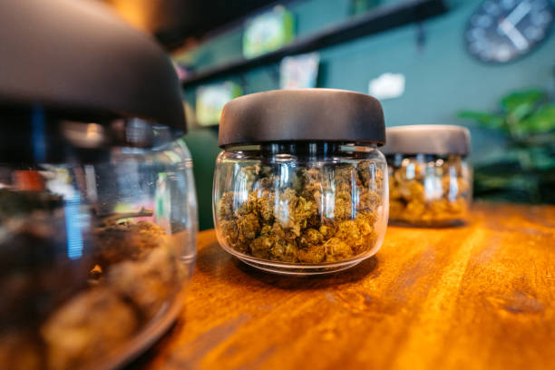 How to Find the Best Cannabis Strains in Mississippi: A Complete Guide