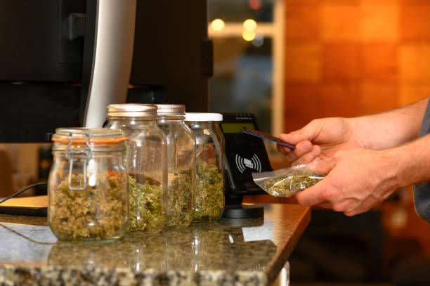 ../img/cannabisresearchfindings.jpg