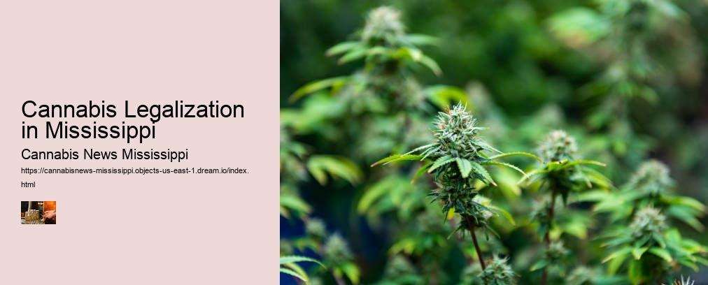 Cannabis Legalization in Mississippi
