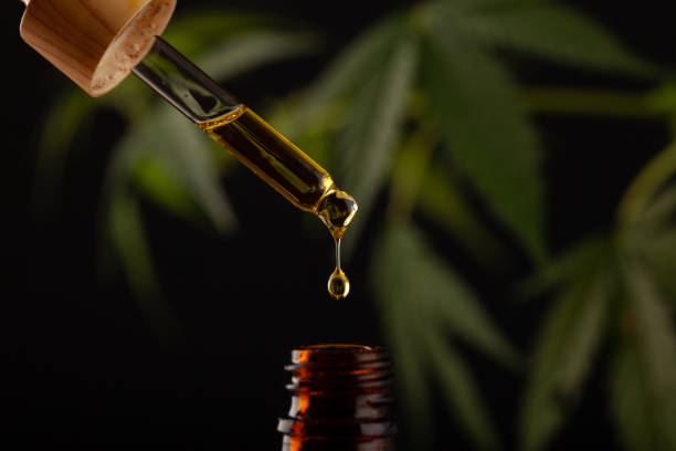 High CBD strains for medical use in Mississippi