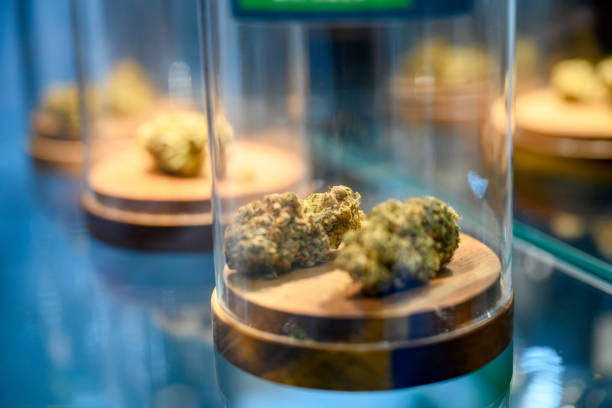 What is the most affordable cannabis strain option in Mississippi?