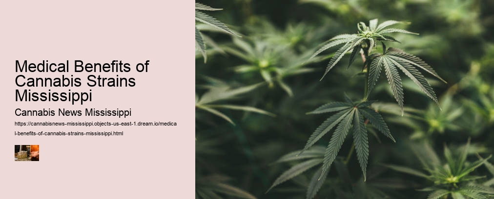 Medical Benefits of Cannabis Strains Mississippi